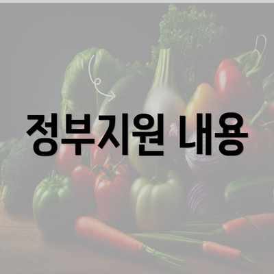 정부지원 내용