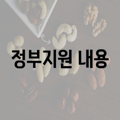 정부지원 내용