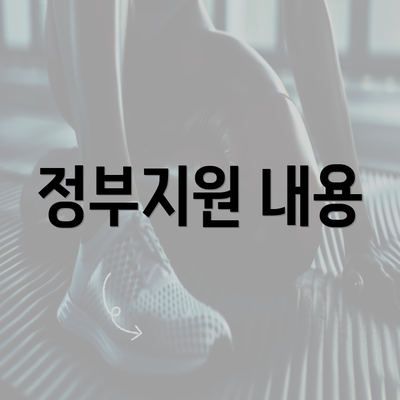 정부지원 내용