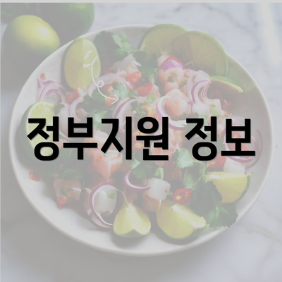 정부지원 정보