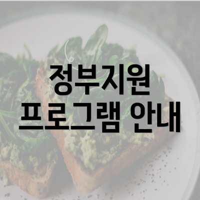 정부지원 프로그램 안내