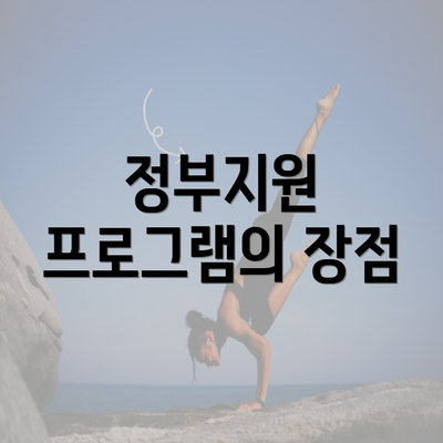 정부지원 프로그램의 장점