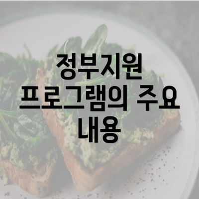 정부지원 프로그램의 주요 내용