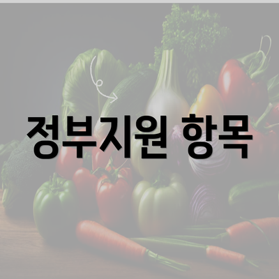 정부지원 항목