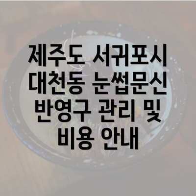 제주도 서귀포시 대천동 눈썹문신 반영구 관리 및 비용 안내