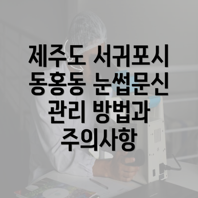 제주도 서귀포시 동홍동 눈썹문신의 모든 것: 남녀를 위한 완벽 가이드