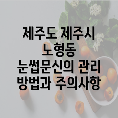 제주도 제주시 노형동 눈썹문신의 관리 방법과 주의사항