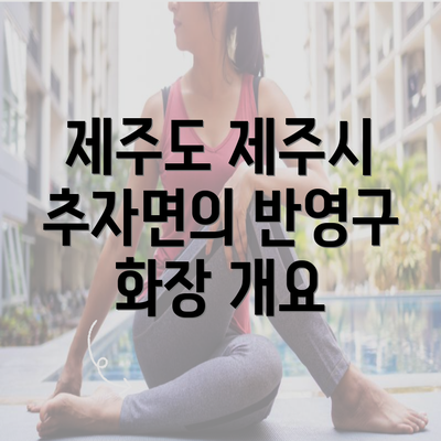 제주도 제주시 추자면의 반영구 화장 개요