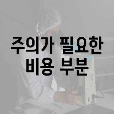 주의가 필요한 비용 부분