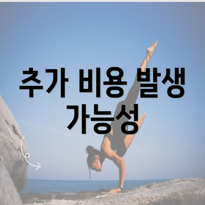 추가 비용 발생 가능성