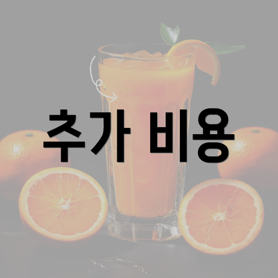 추가 비용