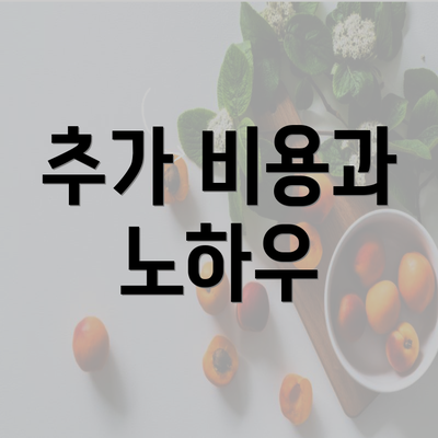 추가 비용과 노하우