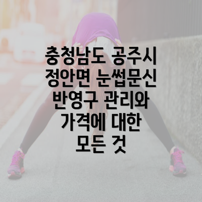 충청남도 공주시 정안면 눈썹문신 반영구 관리와 가격에 대한 모든 것