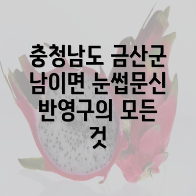 충청남도 금산군 남이면 눈썹문신 반영구의 모든 것