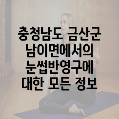 충청남도 금산군 남이면에서의 눈썹반영구에 대한 모든 정보