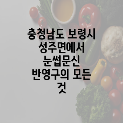 충청남도 보령시 성주면에서 눈썹문신 반영구의 모든 것