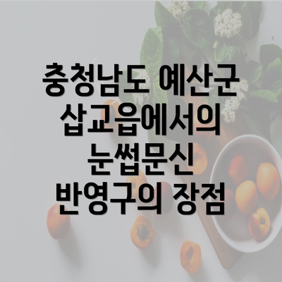 충청남도 예산군 삽교읍에서의 눈썹문신 반영구의 장점