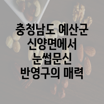 충청남도 예산군 신양면에서 눈썹문신 반영구의 매력