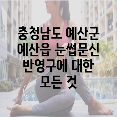 충청남도 예산군 예산읍 눈썹문신 반영구에 대한 모든 것