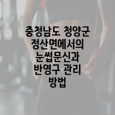 충청남도 청양군 정산면에서의 눈썹문신과 반영구 관리 방법