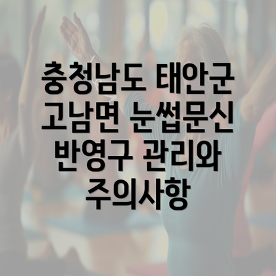 충청남도 태안군 고남면 눈썹문신 반영구 관리와 주의사항