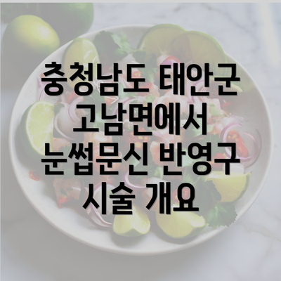 충청남도 태안군 고남면에서 눈썹문신 반영구 시술 개요