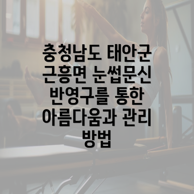 충청남도 태안군 근흥면 눈썹문신 반영구를 통한 아름다움과 관리 방법