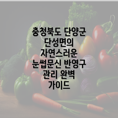 충청북도 단양군 단성면의 자연스러운 눈썹문신 반영구 관리 완벽 가이드