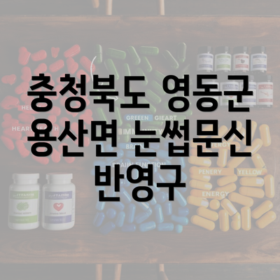 충청북도 영동군 용산면 눈썹문신 반영구