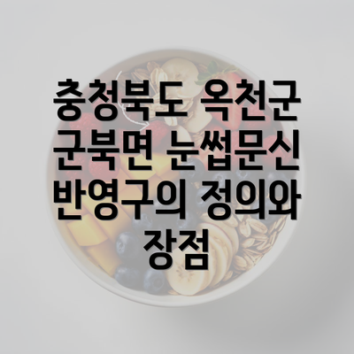 충청북도 옥천군 군북면 눈썹문신 반영구의 정의와 장점