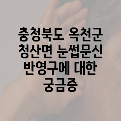 충청북도 옥천군 청산면 눈썹문신 반영구 완벽 가이드