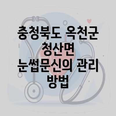 충청북도 옥천군 청산면 눈썹문신의 관리 방법