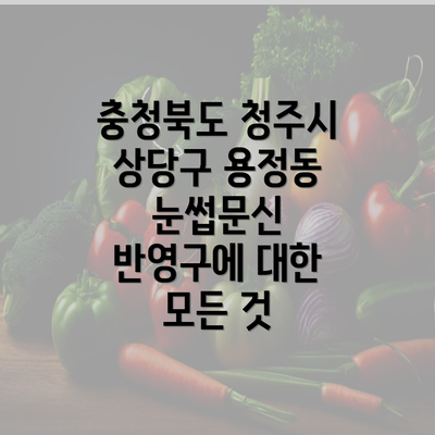 충청북도 청주시 상당구 용정동 눈썹문신 반영구에 대한 모든 것