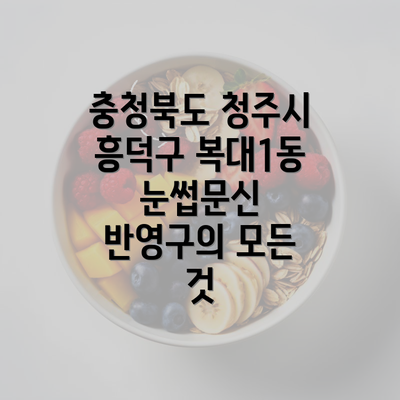 충청북도 청주시 흥덕구 복대1동 눈썹문신 반영구의 모든 것