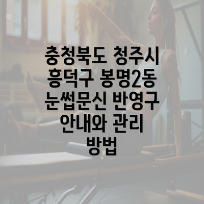 충청북도 청주시 흥덕구 봉명2동 눈썹문신 반영구 안내와 관리 방법