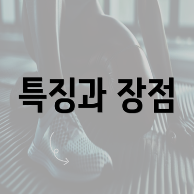 특징과 장점