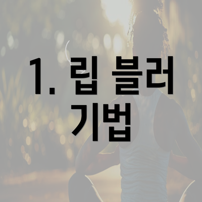 1. 립 블러 기법