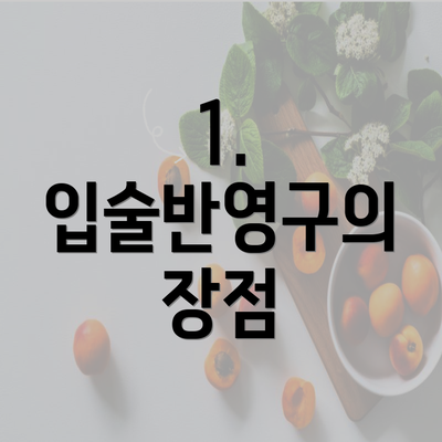 1. 입술반영구의 장점