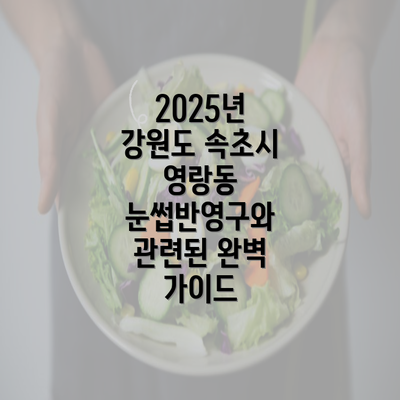 2025년 강원도 속초시 영랑동 눈썹반영구와 관련된 완벽 가이드