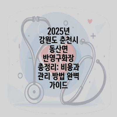 2025년 강원도 춘천시 동산면 반영구화장 총정리: 비용과 관리 방법 완벽 가이드