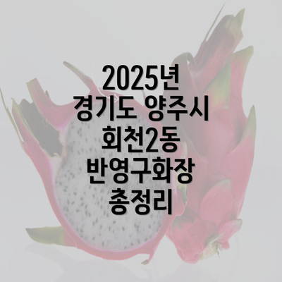 2025년 경기도 양주시 회천2동 반영구화장 총정리