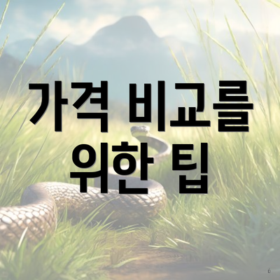 가격 비교를 위한 팁