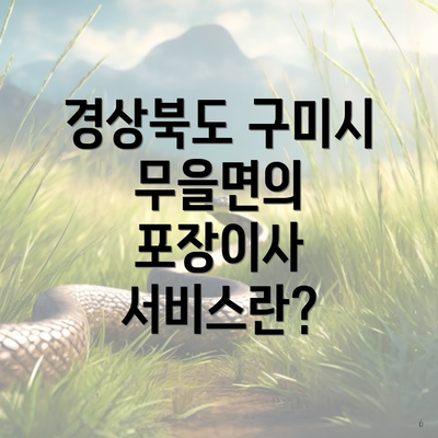 경상북도 구미시 무을면의 포장이사 서비스란?