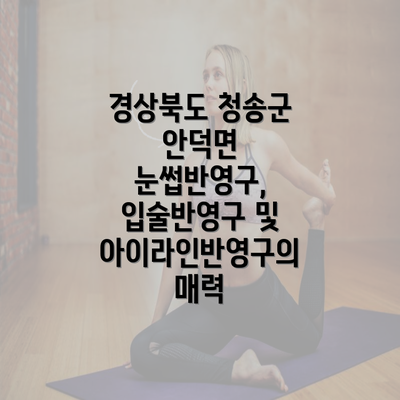 경상북도 청송군 안덕면 눈썹반영구, 입술반영구 및 아이라인반영구의 매력