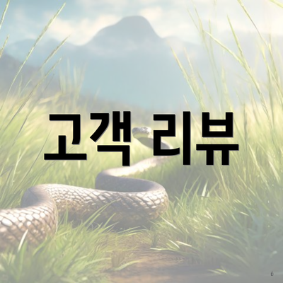 고객 리뷰