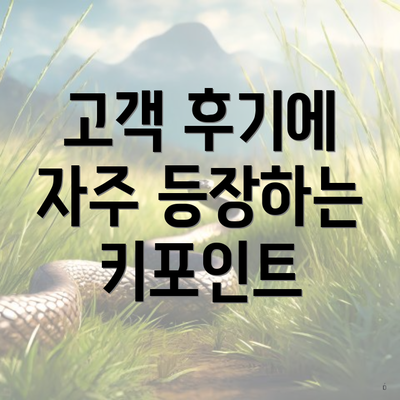 고객 후기에 자주 등장하는 키포인트