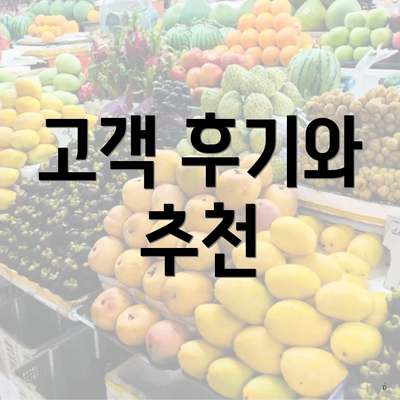 고객 후기와 추천