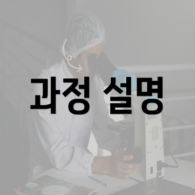 과정 설명