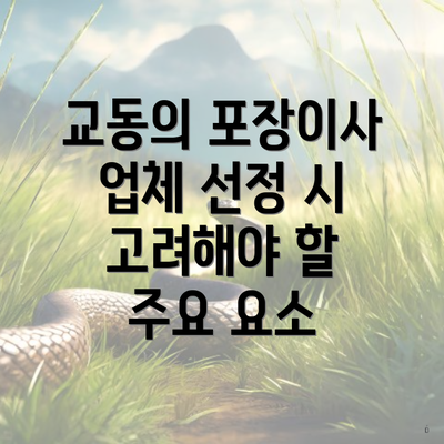 교동의 포장이사 업체 선정 시 고려해야 할 주요 요소