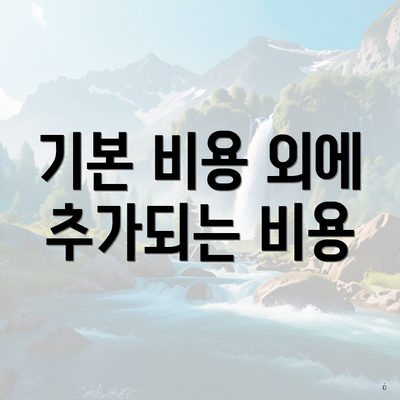 기본 비용 외에 추가되는 비용